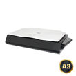 Avision FB6380E A3 Flatbed Scanner